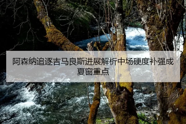 阿森纳追逐吉马良斯进展解析中场硬度补强成夏窗重点